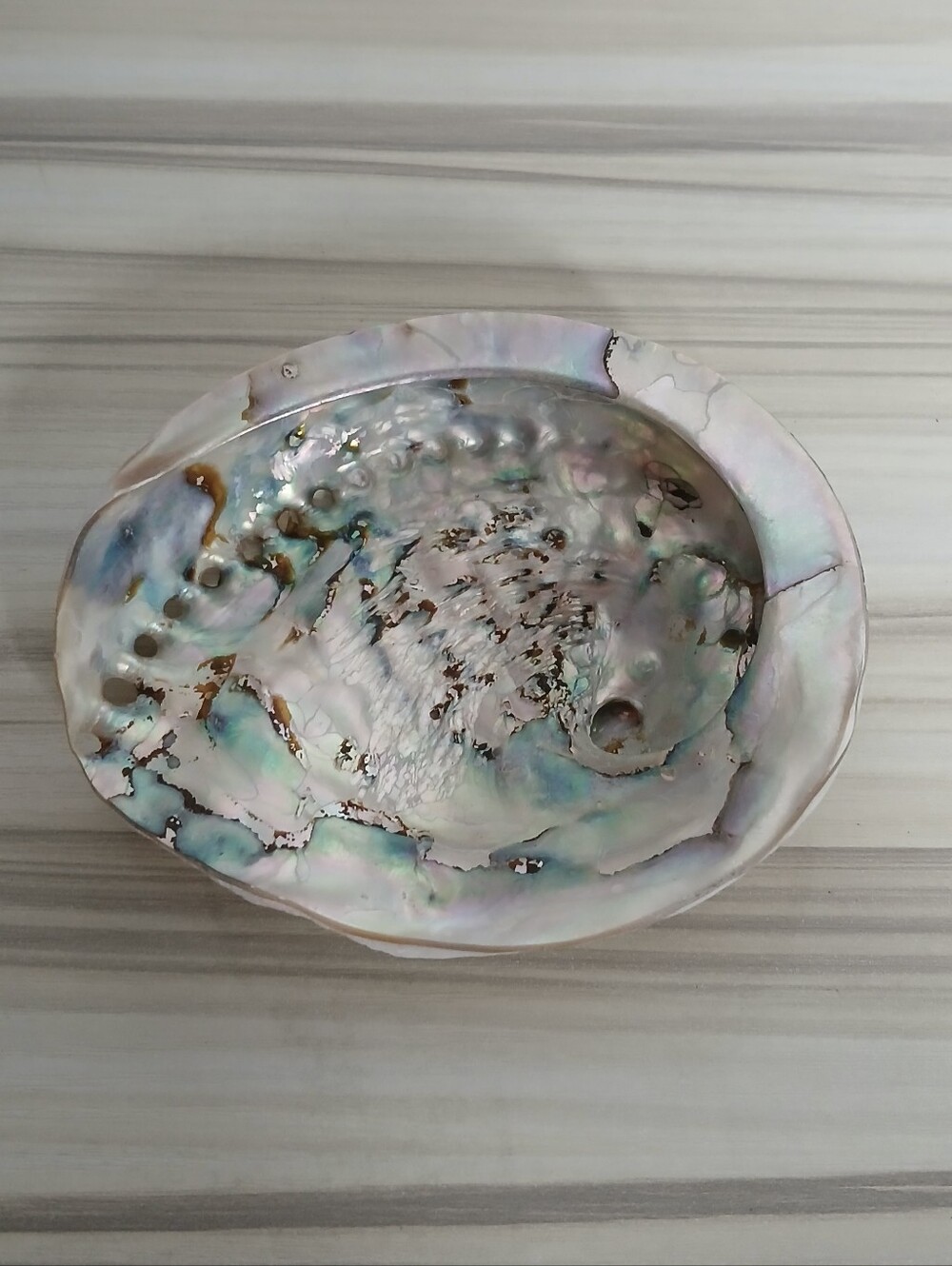 Genuine Abalone Shell - Picture 6 of 13